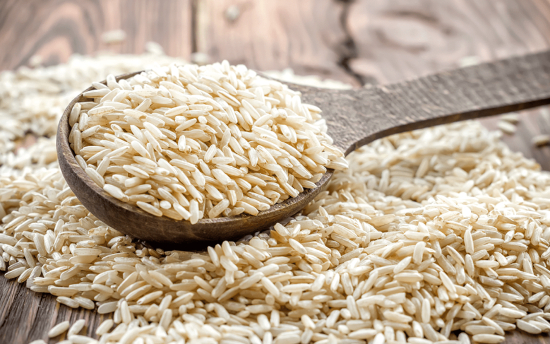 Proteína de arroz: Beneficios y propiedades de esta proteína vegetal